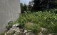 thum-m_AmdJF7gqSR_1754235914.jpg