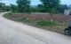 thum-9206967_L2kAyI9ViM_1754275078.jpg