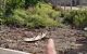 thum-9206985_fVZtceF13Y_1754279248.jpeg