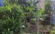 thum-9206998_dEJOgoNTkI_1754286137.jpg