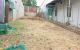 thum-9207002_rdli1bPMBW_1754288964.jpg