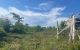 thum-9207013_SPsCiE0Oz9_1754292506.jpg