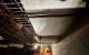 thum-9207131_eXnlEDoW28_1754359242.jpg