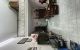 thum-m_nvugDxTUIe_1754359240.jpg