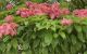 thum-9207484_GuPYy8rQxR_1754533454.jpg