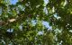 thum-9207484_ha2x489fWy_1754533459.jpg