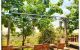 thum-9207488_SqpaBCEvUP_1754533829.jpg