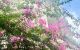 thum-m_gZo396CF7w_1754575464.jpeg