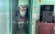 thum-9207644_rgqxd7kXZa_1754618521.jpg