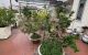 thum-9207647_wUnBCr2ROj_1754618820.jpeg
