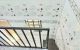 thum-9207706_gW1I0P4ulH_1754638819.jpg