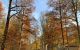 thum-m_Wkdc7aH1s8_1754660311.jpg