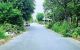 thum-m_n6zQXL1SDf_1754617368.jpg