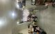 thum-9207812_iPJF0Swqx7_1754711511.jpg