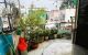 thum-9208129_L94xgspPlF_1754964608.jpg