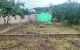 thum-9208294_Zmzx2JYjyG_1755056969.jpg
