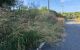 thum-9208379_Bj1bCysN2q_1755092262.jpg
