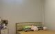 thum-9208574_BfQ7MnYozD_1755219361.jpg
