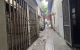 thum-9208611_Pap7jAbT89_1755228988.jpg