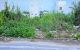 thum-9208624_NUiheK3tcZ_1755229864.jpg