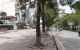 thum-m_TyS1i4rJMZ_1755259786.jpg