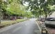 thum-9209066_tfYmxiNBI5_1755530959.jpg