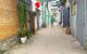thum-9209160_ay3jg5EQ1R_1755590923.jpg