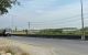 thum-m_uxlwrV9Mtz_1755571024.jpg