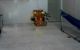 thum-9209327_w0rIcB6i5t_1755678998.jpg