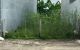thum-9209340_Ub0qJViZcS_1755681050.jpg