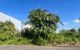 thum-9209355_YrZyMXLsdJ_1755685463.jpg