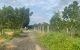 thum-9209390_Pz6oiJB8WG_1755733494.jpeg