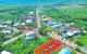thum-9209440_Pw5hnoemTR_1755754182.jpg