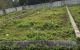 thum-9209486_l93yiXf2bt_1755766726.jpg