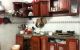 thum-9209524_c49H1Iqum5_1755786929.jpg