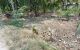 thum-m_2d4pryevlm_1755756452.jpg