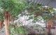 thum-9209563_czA0NndSJ1_1755828306.jpg