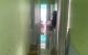 thum-9209571_Zs6MPQqn20_1755830664.jpg
