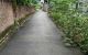 thum-9209637_1bc5fYq9ny_1755853539.jpg