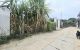 thum-9209642_DqYElUim1o_1755855483.jpg
