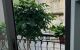 thum-9209709_sSu6WQyH2A_1755918070.jpg