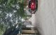 thum-9209710_mwSefaIEr7_1755918280.jpg