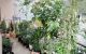 thum-9209765_V5KdAWHelF_1755944446.jpg