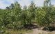 thum-9209885_FosSPhNVz8_1756049016.jpg