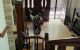 thum-9209967_qDbzl9H6dX_1756108859.jpg