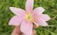 thum-9209987_CKSX3wIlFs_1756111350.jpg
