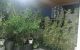 thum-9210187_Eb6VdWxyC0_1756214018.jpg