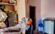 thum-9210229_g9oTvKXlA6_1756262454.JPG