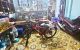 thum-9210302_YW9eRagSOb_1756285616.jpeg