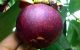thum-9210315_B4OmuYi1rj_1756288810.jpg